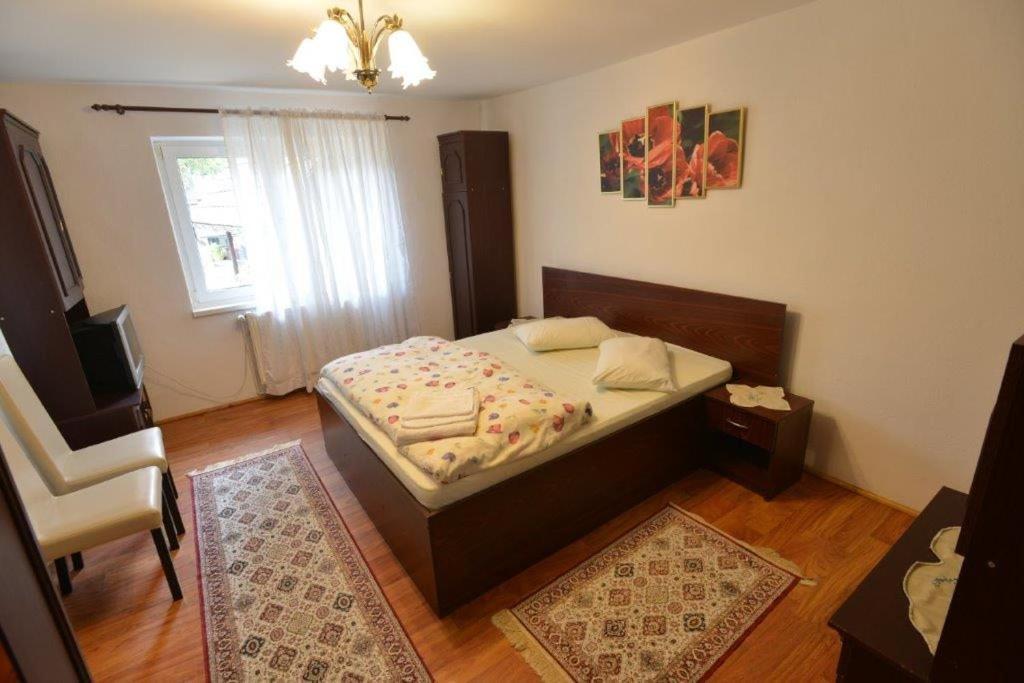 Casa Georgeta Guest House Bran  Ngoại thất bức ảnh