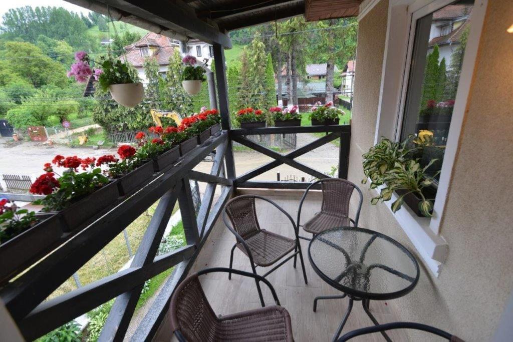 Casa Georgeta Guest House Bran  Ngoại thất bức ảnh