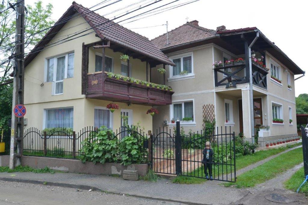 Casa Georgeta Guest House Bran  Ngoại thất bức ảnh