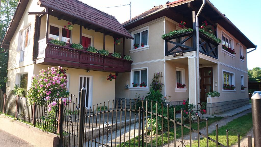 Casa Georgeta Guest House Bran  Ngoại thất bức ảnh